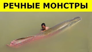 Увидев ЭТИХ МОНСТРОВ, Вы Больше НЕ ПОЛЕЗЕТЕ В РЕКУ!!!