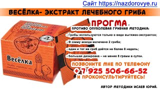 Лечение рака- экстракт гриба веселки. Как лечить рак грибами?