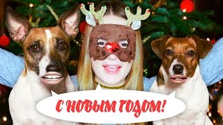 САМОЕ НЕОБЫЧНОЕ ПОЗДРАВЛЕНИЕ С НОВЫМ ГОДОМ! Говорящие питомцы :D
