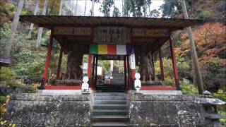 秩父三十四観音　第31番　鷲窟山　観音院