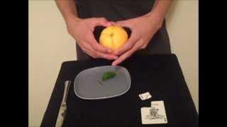 Card to Lemon/Orange Trick Revealed