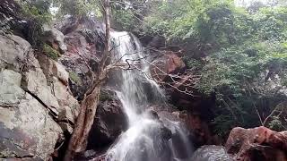 shenbhaga thoppu dam near Waterfalls...