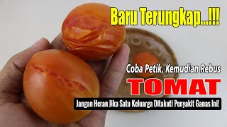 BIKIN GEGEER... CUMA MAKAN TOMAT REBUS BISA SELAMATKAN JUTAAN ORANG DARI PENYAKIT INI