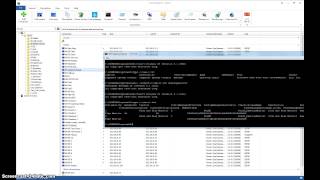 Get Service Tag and monitor ID remotely