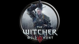 The Witcher 3 GTX 1080 Ti 2k (1440p) FRAME RATE TEST