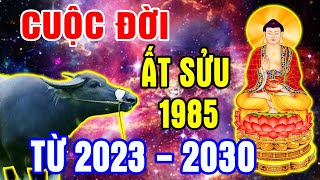 Tử Vi Trọn Đời Ất Sửu 1985 Khổ Trước Sướng Sau, Từ 2023 Đến 2030 Phú Quý Giàu Sang.