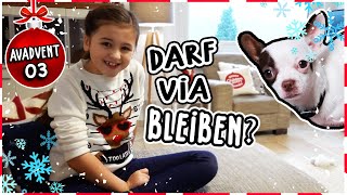 Muss ich meinen Hund wieder abgeben ?? AVAdvent Tag 3 ? Alles Ava