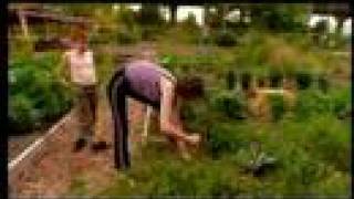 Flemington Community Garden