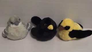 Wild Republic bird, певчие птицы