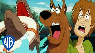 Scooby-Doo! auf Deutsch | Scooby über Bord | WB Kids