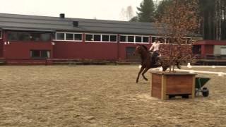 Captain Morgan, trening