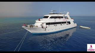 MV SUNSHINE 2018 AERIAL SHOOT