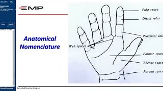 Hand Infection part 1