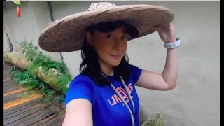 辛花今天来到了深山，住进了林中小木屋！