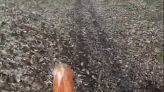 GOPRO HERO 3 250 WR ET 125 EGS ENDURO