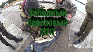Остров Западный Берёзовый (Tiurinsaari)