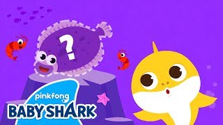 Hide 'n Seek in the Sea | Baby Shark Dance and Song | Baby Shark Sing Along 