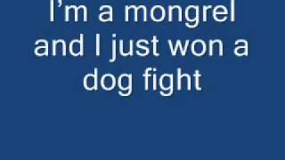 Half Man Half Biscuit - Mathematically Safe