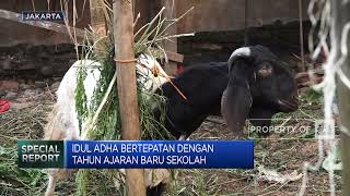 Penjualan Hewan Kurban di Jakarta Tak Meriah