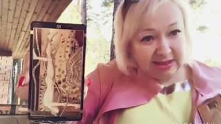 Таро. Tarot. Какие чувства испытывает к вам загаданный человек сегодня?