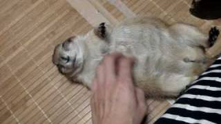 無表情