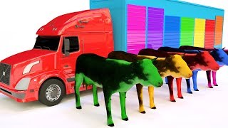 Camion Transportant Des Vaches | Vaches Laitières Et Camions Citernes | Voitures Pour Enfants