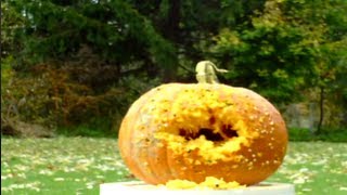 HAPPY HALLOWEEN!!!! (Combative Airsoft Style!)
