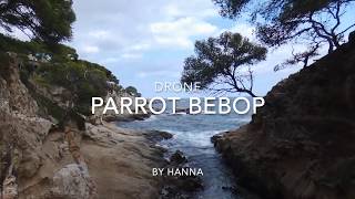 Drone//Parrot Bebop (in Spain, Austria, Germany, Netherlands...)