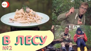 Дождевик – это не только красиво, но и вкусно! В лесу