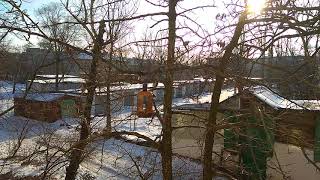 Простейшая кормушка из пластиковой бутылки. Подкармливаем синиц зимой.