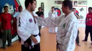 Técnicas de Hapkido - Chave de condução - Escola Chang Hung