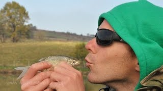 Łowienie z echosondą bezprzewodową Spinning z kajaka i Feeder - wędkarstwo