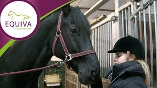 Homestory Nicole Oberberg - Nachwuchsreiterin auf Erfolgskurs
