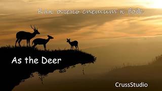 As the Deer/ Как олень спешит к воде /Pan flute/  Пан флейта