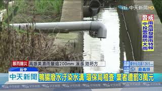 20190816中天新聞　臭！洗鴨腸髒水亂排溝渠　陣陣惡臭居民難受