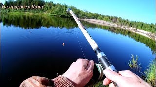 Рыбалка в конце июня.