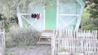 Частный пруд возле "Аненково" Маинский район Ульяновская область