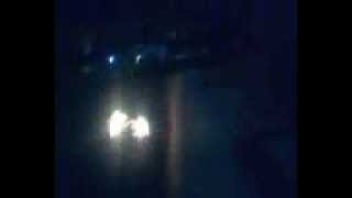 Dumbrava  alba  фаир шол