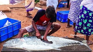 Live Skinless and Boneless Fish Cutting Skills | 2020 Fish Market