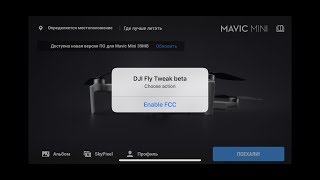 DJI Mavic Mini (DJI Fly) iOS FCC / 5.8 tweak