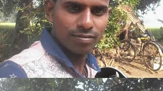 Sarita rawat muhaddinpur raniganj