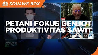 Ada Kampanye Hitam Sawit RI, Petani Fokus Genjot Produktivitas