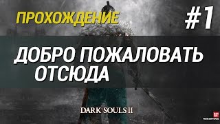 Добро пожаловать [Dark Souls 2] Прохождение - Часть 1