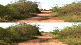 Природа 3D (HD)