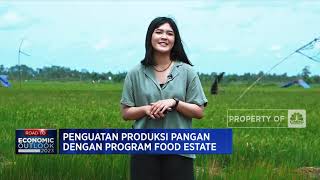 Seberapa Efektif “Food Estate” Dongkrak Produksi Pangan?