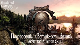 Подорожник, цветик-семицветик и лечение лихорадки [Enderal, season 1, episode 10]