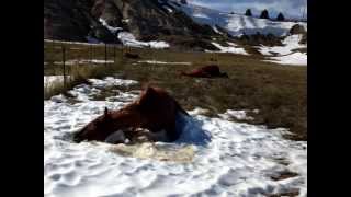 Atlas Blizzard Relief Video
