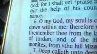 Psalm 42 King James Holy Bible