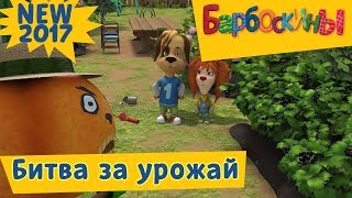 183 серия. Битва за урожай ? Барбоскины. Новая серия