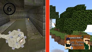 Les Terres Désolées #6/ l'île volante et les égouts : 2 objectifs de remplis /ft the Max gaming